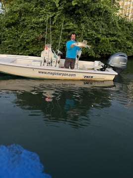 Puerto Rico Tarpon Charter