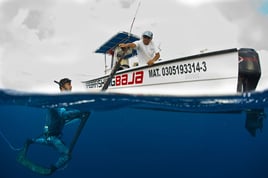 Spearfishing Baja California