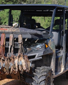Coastal Bend Duck Assault