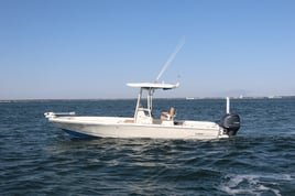 Gulf Fishing Experience
