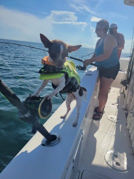 Deep Sea Fishing 6-People