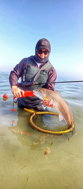 Wading the Laguna Madre