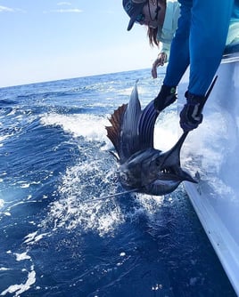Sailfish Fishing in Puerto Jiménez, Costa Rica