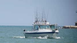 Lake Erie Steelhead Special