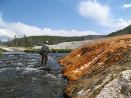 Premier Trout Slam