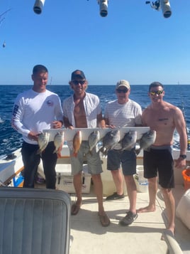 Offshore Classic