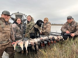 Whacking Ducks in North Rockport