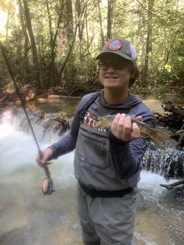 Trophy Trout Special