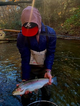 Blue Ridge Trout Special