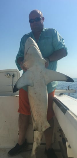 Biloxi Barrier Island Trip