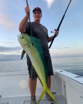 Dana Point 24-Hour Adventure