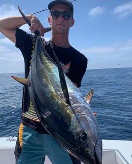 Dana Point 24-Hour Adventure