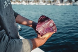 Coronado Islands Expedition
