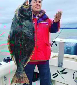 Bodega Bay Roundup