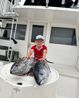 Offshore Tuna Chase