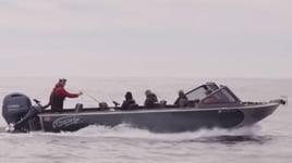 Columbia River Chinook Salmon
