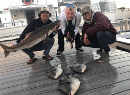 Combo Reef & Trolling Trips