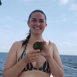 Steinhatchee Scalloping Trip