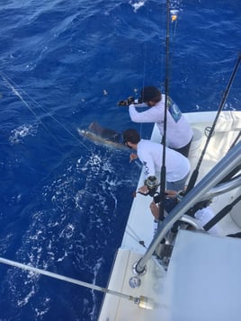 Full Day Hardcore Offshore Trip