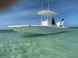 Barrier Reef Snappers and More