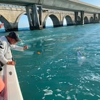 Islamorada Tarpon Fishing