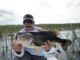 Largemouth Bass Fishing in Jupiter, Florida