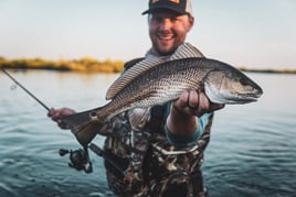 Tampa Bay Inshore Action