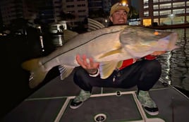 Inshore Bay Tarpon & Snook Charter 