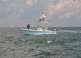 Shark Fishing Trip
