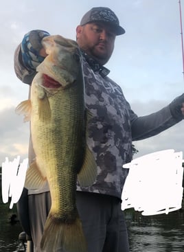 Big Bass on O.H. Ivie Lake