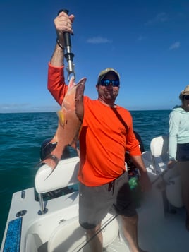 Reef, Wreck, and Patch Reef Trip