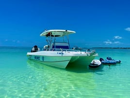 Reef, Wreck, and Patch Reef Trip