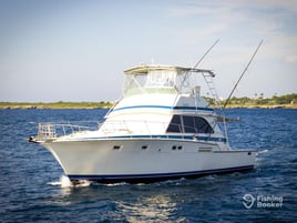 Offshore Punta Cana - 47' Bertram