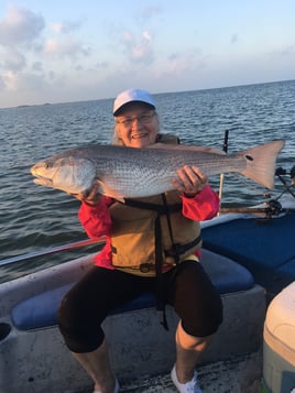 Coastal Bend Live Action!