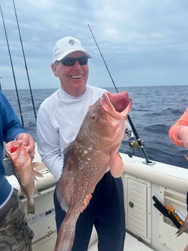 Full day Offshore