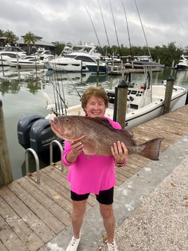 Full day Offshore