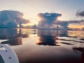 Slammin' Snook, Reds, and More