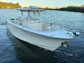 Gulfstream Fishing for Pelagics