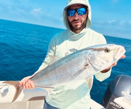Nearshore Live Action