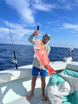 Nearshore Live Action