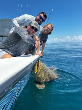Nearshore Live Action