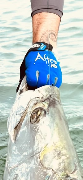 Bokeelia Tarpon Action