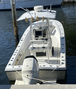 Big Game Shark Fishing