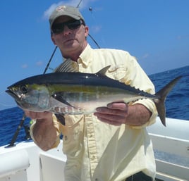 Mahi Mahi Offshore Combo