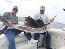 Sailfish Special