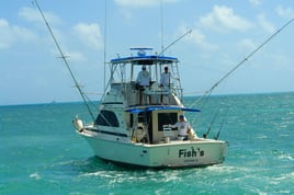 Bountiful Waters of Isla Mujeres