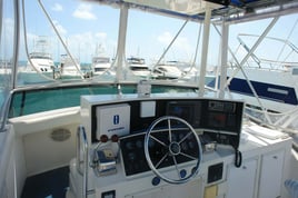 Bountiful Waters of Isla Mujeres