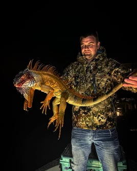 Cape Coral Iguana Hunt
