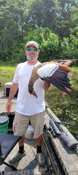 Delray Beach Exotics Airgun Hunt