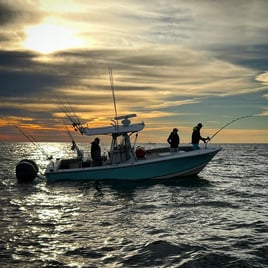 Tuna Trip - 33' Grady White